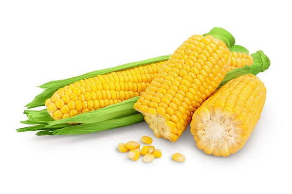 Corn / مکئ