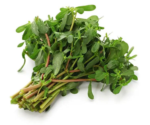 Purslane Leaves/کلفا