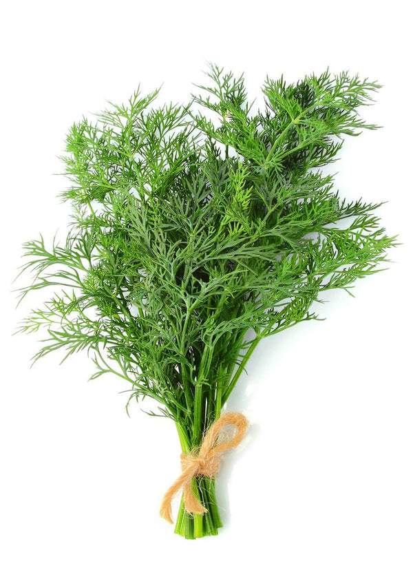 Dill leaves/سویا