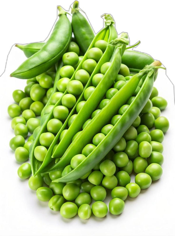 مٹر / Peas