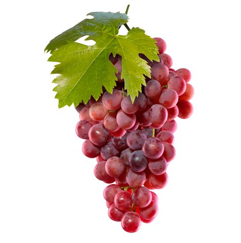Red Grapes/لال انگور